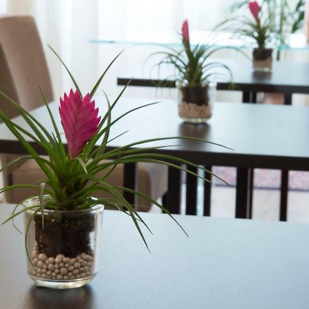 Parco Dell'Adige Rooms Βερόνα Εξωτερικό φωτογραφία